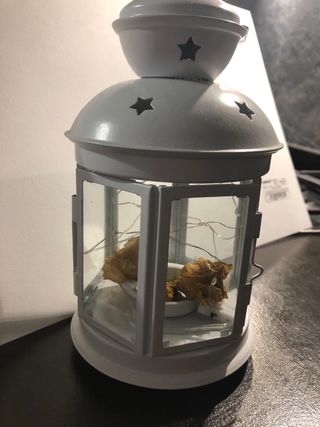 10 lanterne bianche porta candela