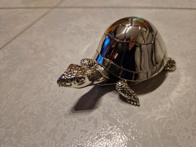 Tartaruga in argento