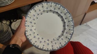 Preciosos 12 platos llanos Cartuja