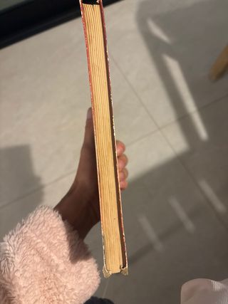 Don Quijote de la Mancha  Hijos Santiago Rodríguez