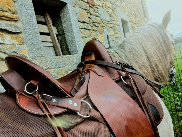 Montura caballería canadiense Mclean