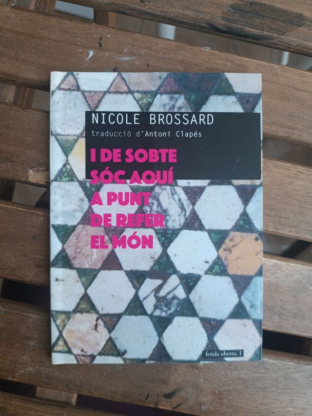 Nicole Brossard 2 llibres