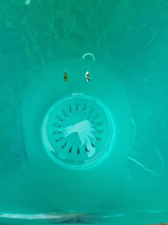 Macchina vapore per pulizia del viso