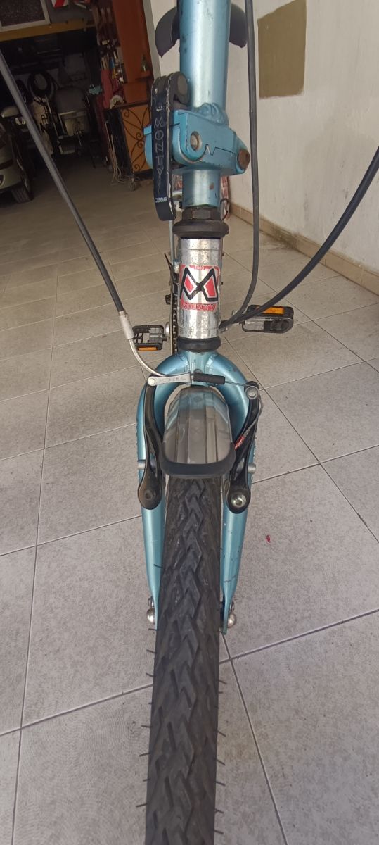 Bici Monty Plegable F19