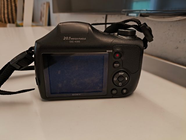 SONY DSC-H300
