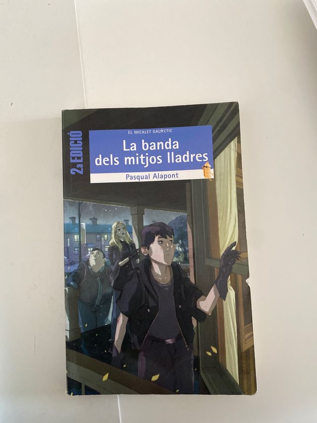 La banda dels mitjos lladres
