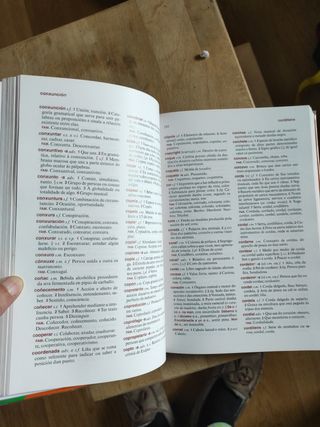 diccionario xerais da lingua