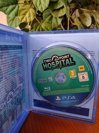 Two Point Hospital PS4