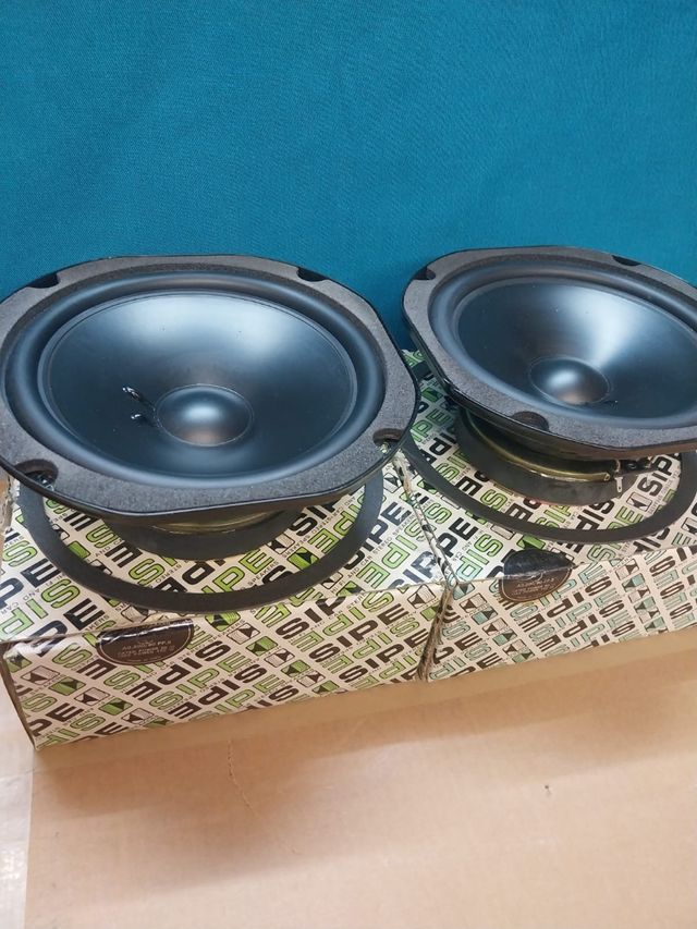 Coppia Woofer sipe