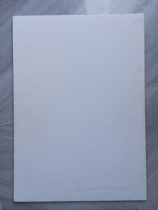 Dibujo modelo Carolina Herrera