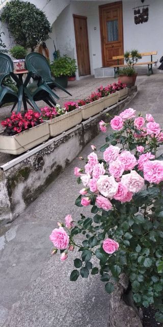 Casa en Miraflores. Sin escaleras.