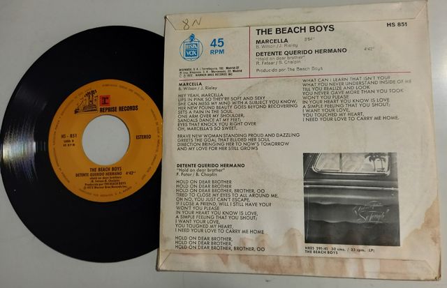 The Beach Boys