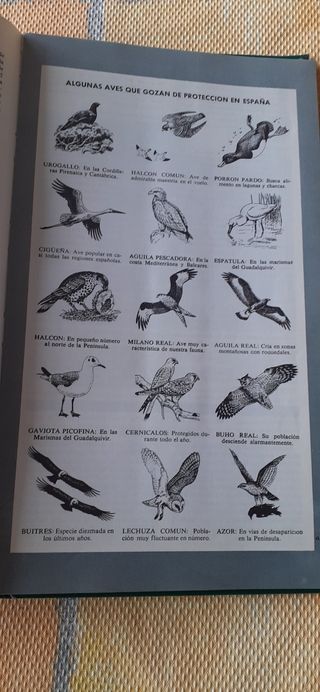 LIBRO  DE LA  CARRETERA. GPS