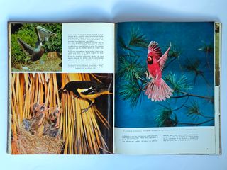 LOTE DE LIBROS POR 2 EUROS