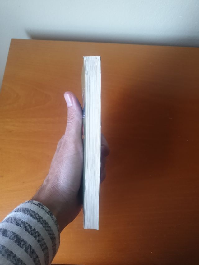 Libro En Román Paladino