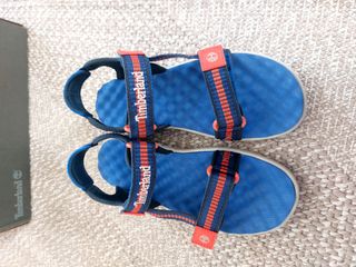 T.36 Timberland sandias