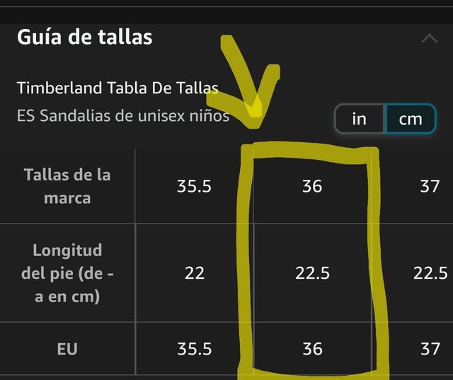 T.36 Timberland sandias