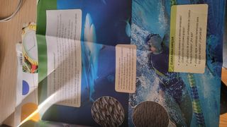 libro Biología y Geologia 1 ESO santillana