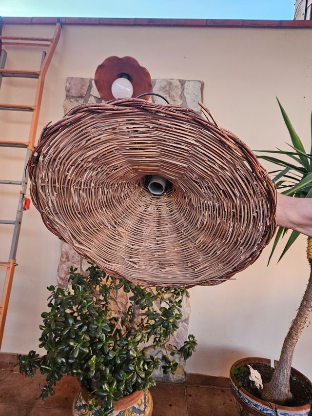 Due lampadari in canna intrecciata