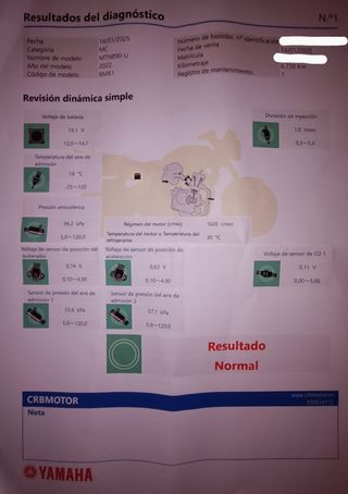 MT-09 Matt.Black 2024 Akrapovic Carbon