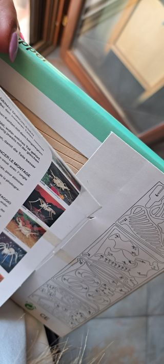 Puzzle costruzione cavalletta in legno NUOVO