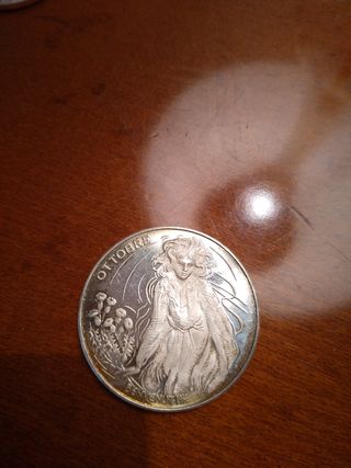 12 monete  in argento dei mesi 