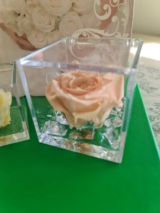 Coppia Rose stabilizzate