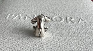 Charm igor disney asno