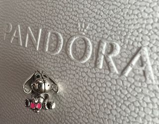 Charm igor disney asno