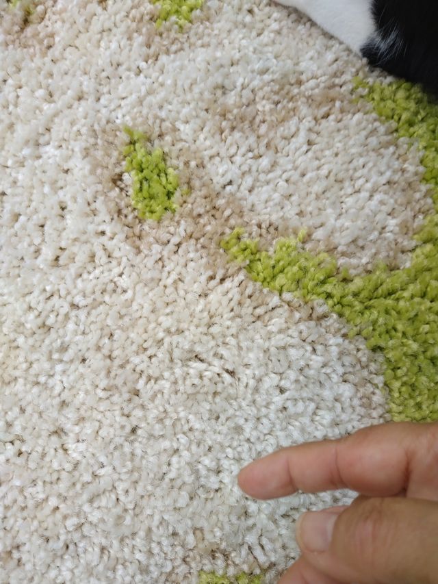 Alfombra nueva 1 x 2 m.