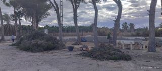 Jardínero/Podador