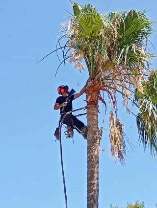 Jardínero/Podador