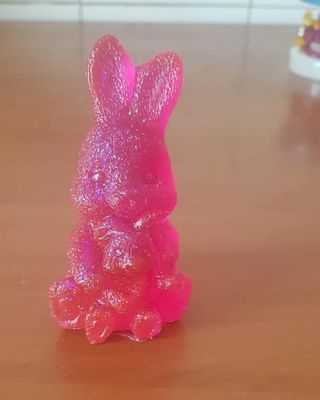 Coniglietto mamma e figlio/a