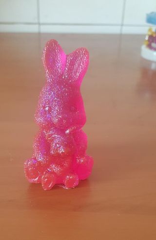 Coniglietto mamma e figlio/a