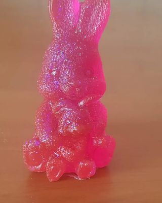 Coniglietto mamma e figlio/a