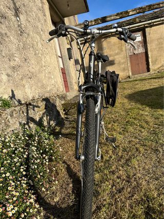 Bici hibrida edicion especial