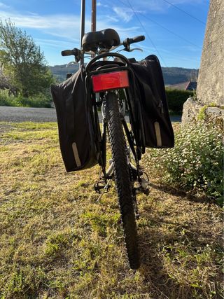 Bici hibrida edicion especial