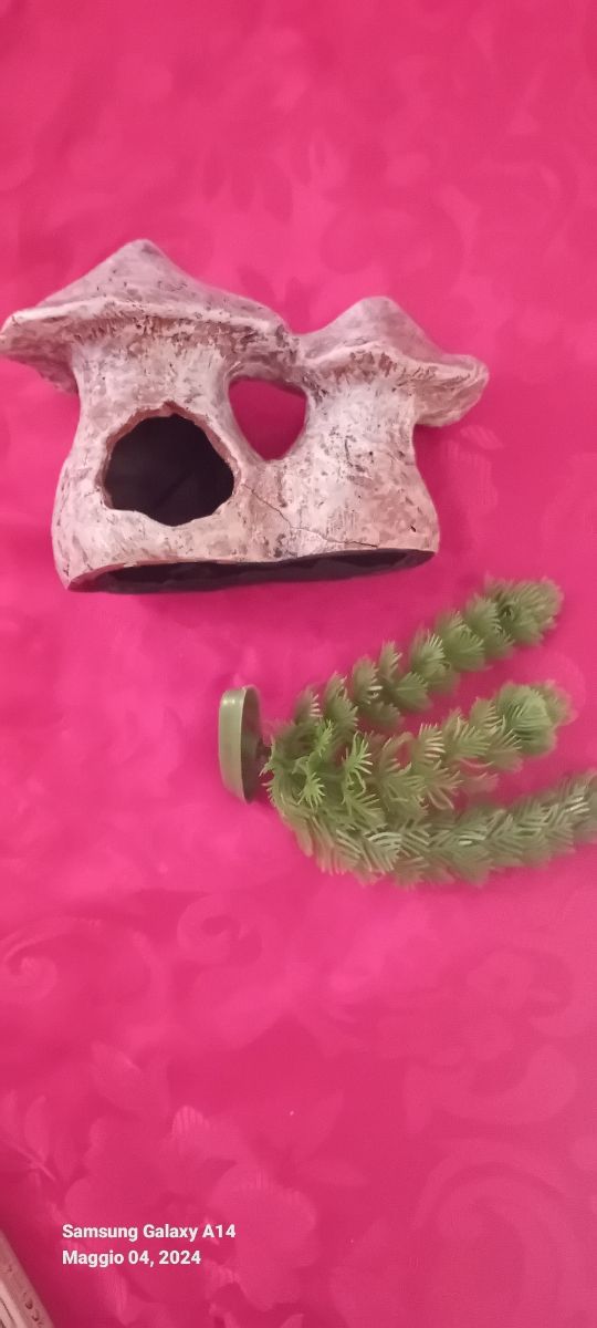 Decorazioni per acquario