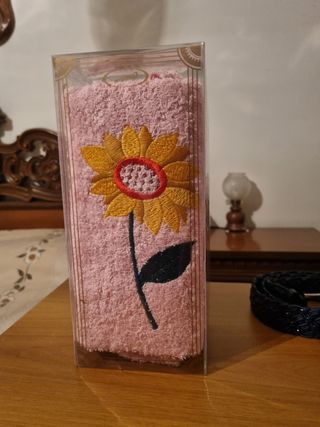 coppia di spugne da bagno