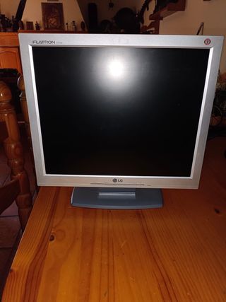 Pantalla ordenador LG