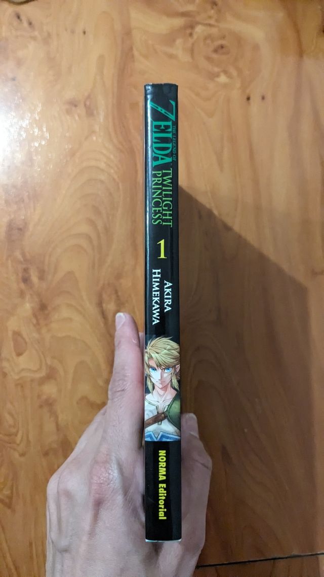 Manga Zelda Twilight Princess 1