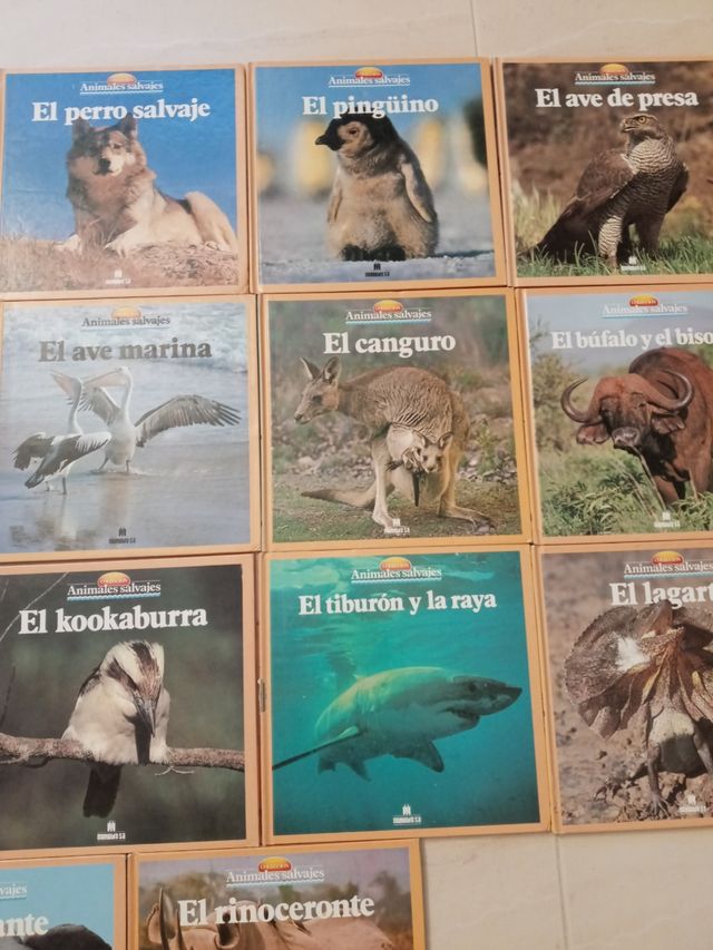 Colección libros Animales salvajes