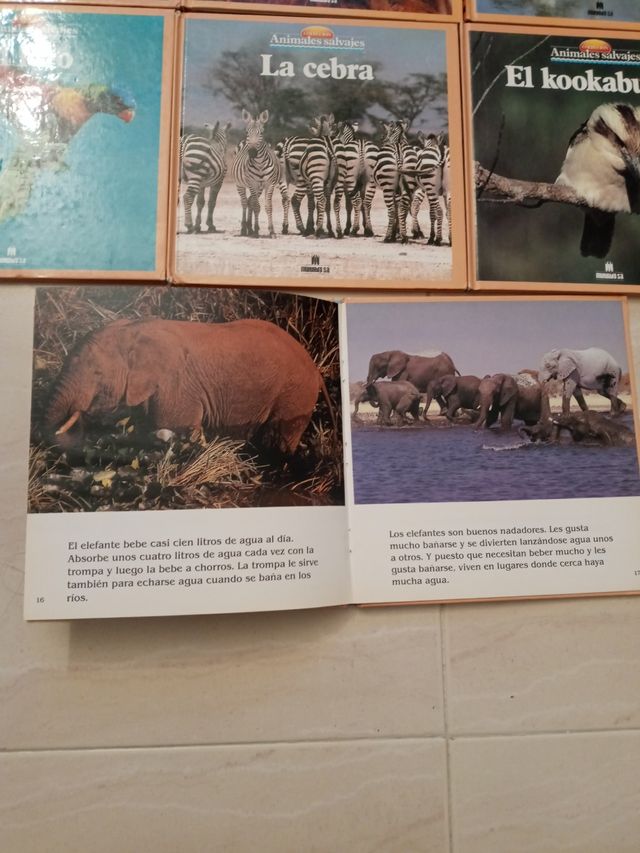 Colección libros Animales salvajes