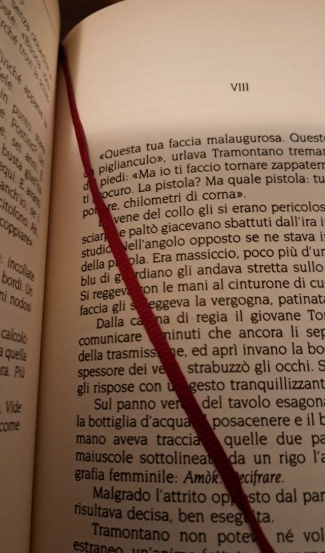 Romanzo "La Trappola Amorosa" 