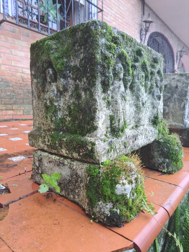 Maceta vintage hormigon bajorelieve