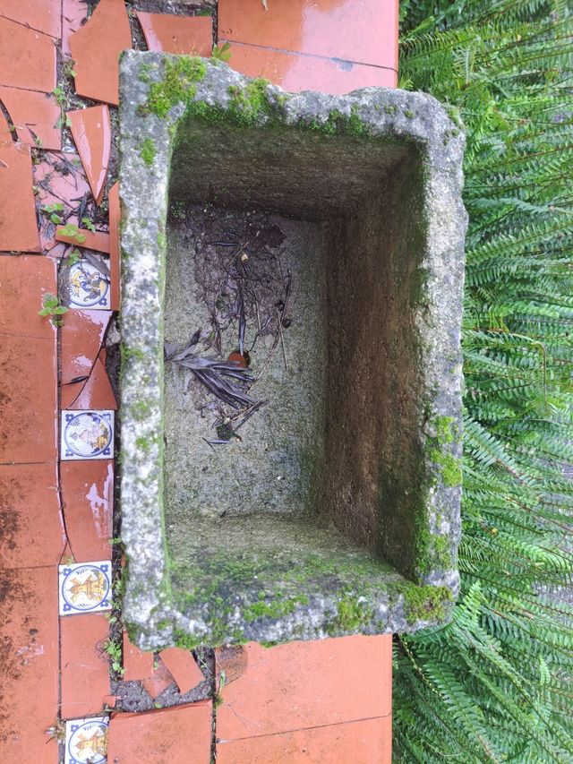 Maceta vintage hormigon bajorelieve