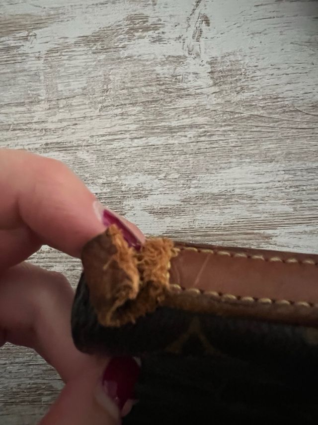 Bolso Louis Vuitton Trotteur