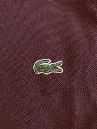 Polo LACOSTE (Manga larga)