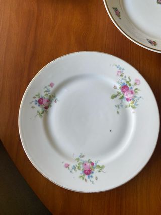 PLATOS ANTIGUOS PORCELANA