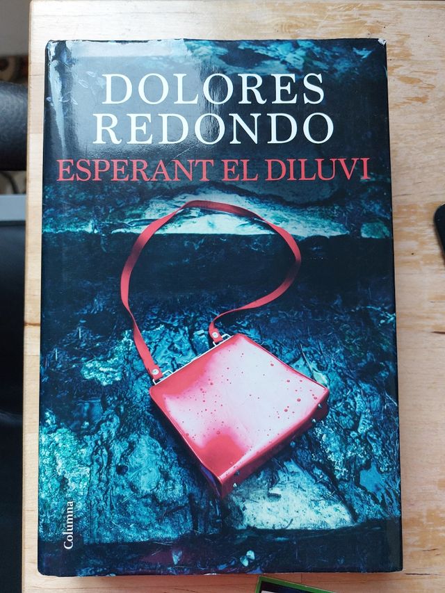 Llibre Esperant el diluvi